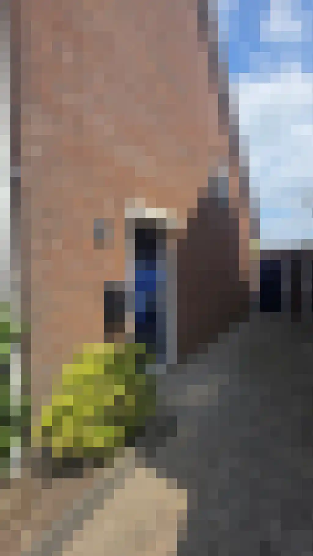 Julianalaan 60 Etten-Leur foto 2