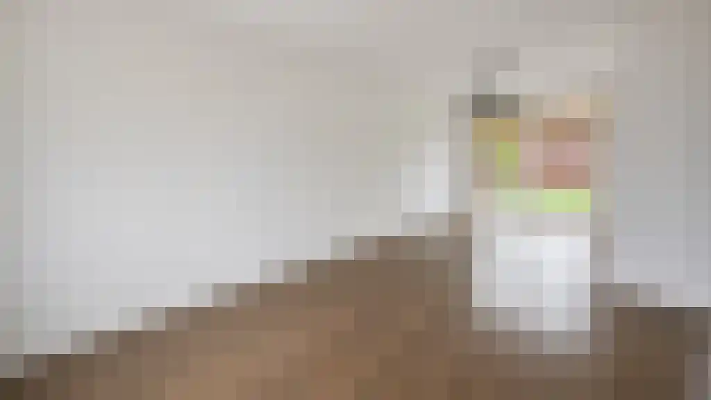 Julianalaan 60 Etten-Leur thumbnail 4