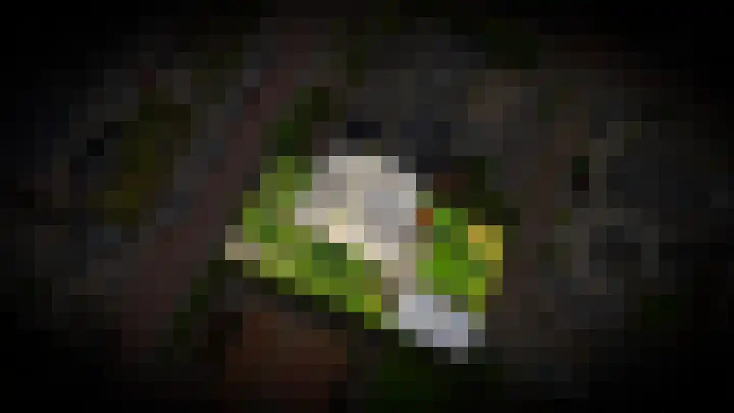 Julianalaan 61 Culemborg thumbnail 27