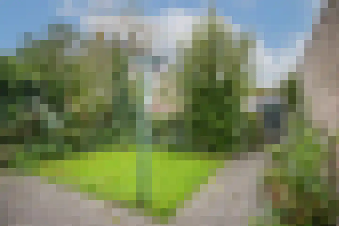 Julianalaan 61 Culemborg thumbnail 30