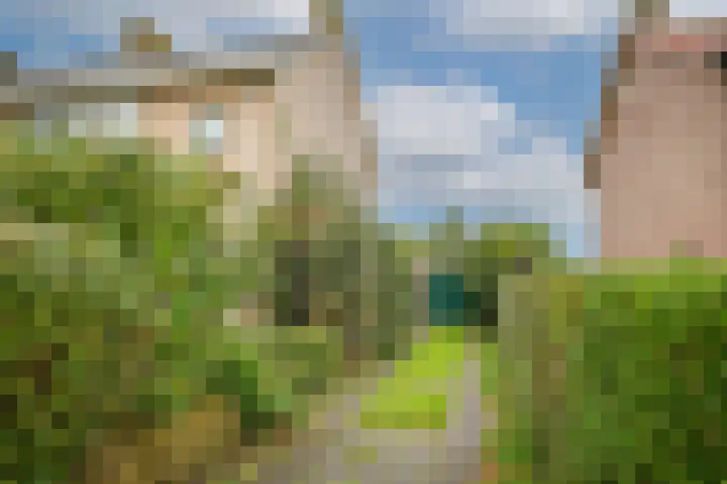 Julianalaan 61 Culemborg thumbnail 33