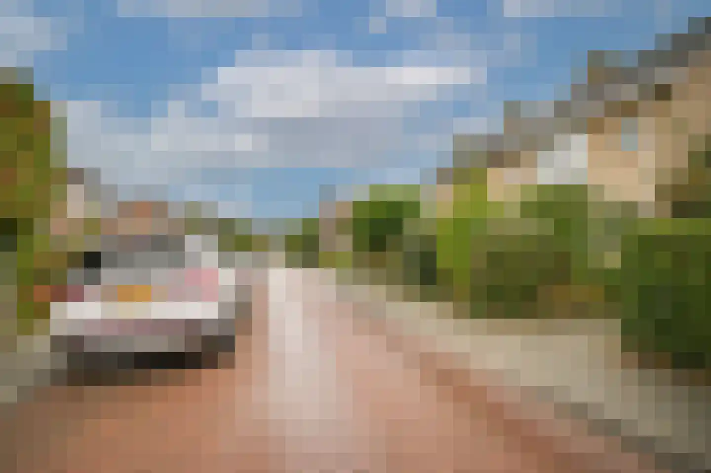 Julianalaan 61 Culemborg thumbnail 34