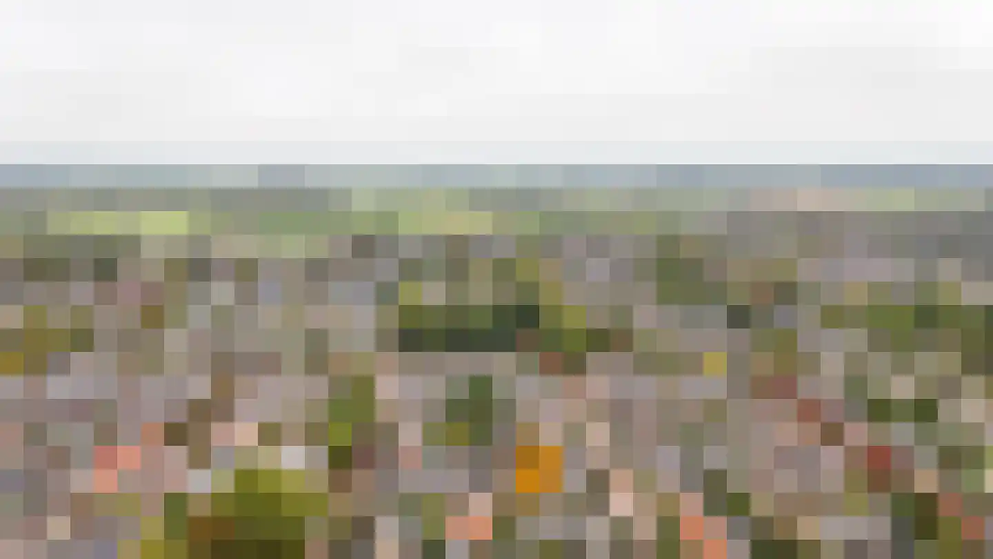 Julianalaan 61 Culemborg thumbnail 35