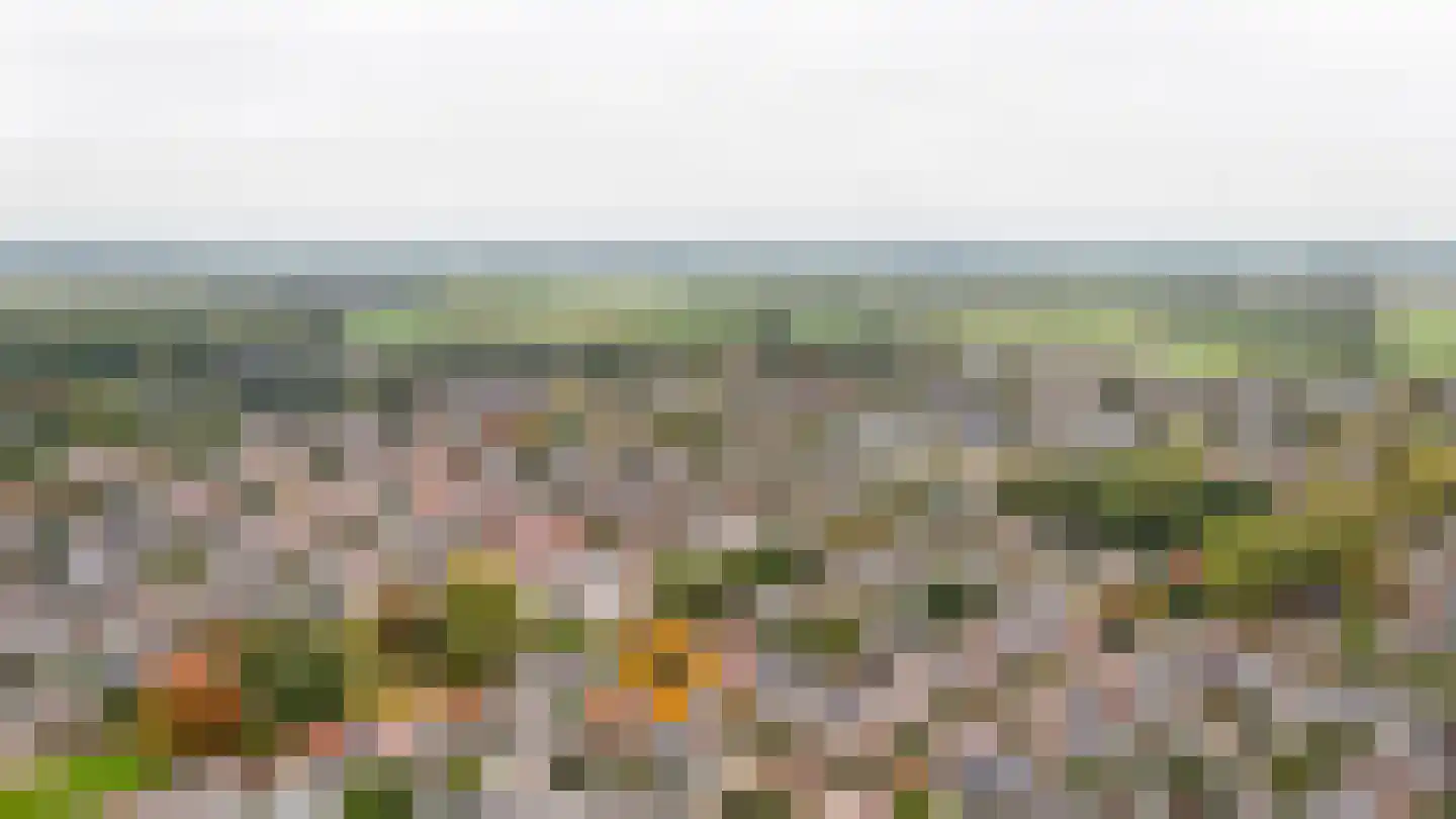 Julianalaan 61 Culemborg thumbnail 36