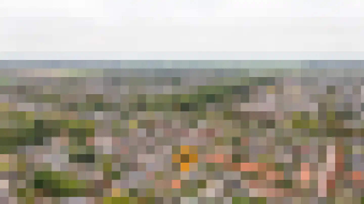 Julianalaan 61 Culemborg thumbnail 37