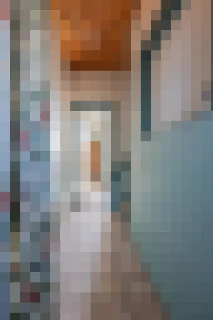 Julianalaan 62 Raamsdonksveer thumbnail 10