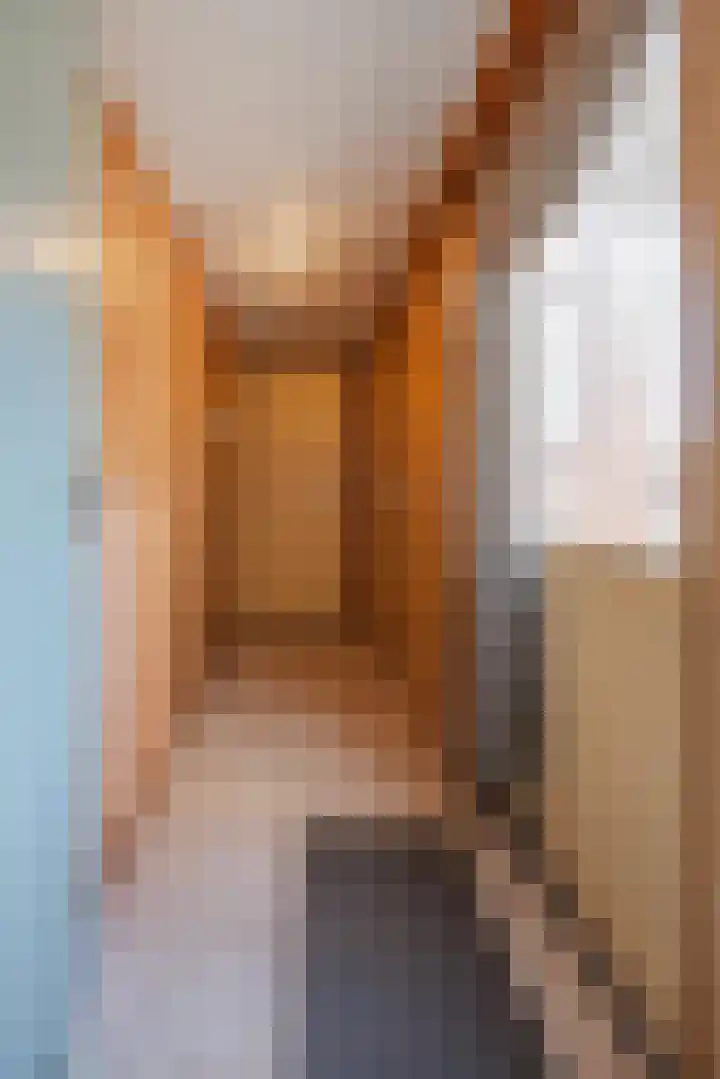 Julianalaan 62 Raamsdonksveer thumbnail 18
