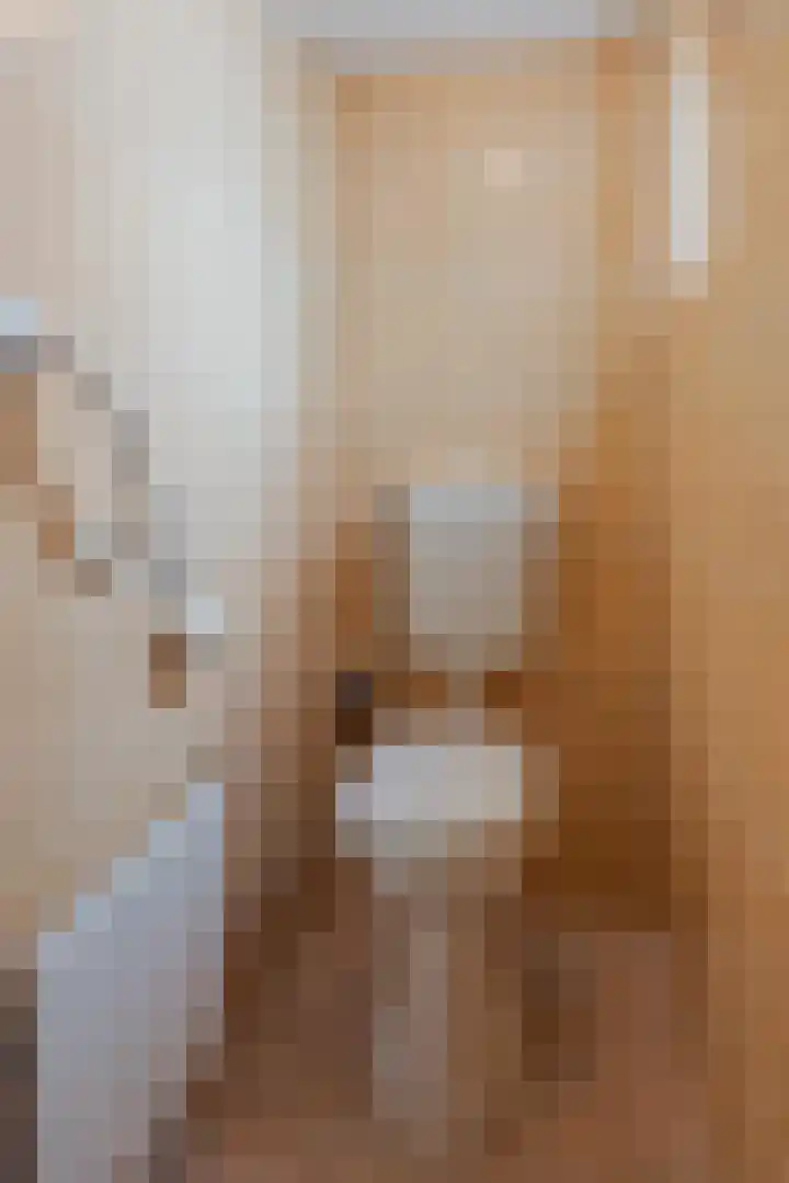 Julianalaan 62 Raamsdonksveer thumbnail 20