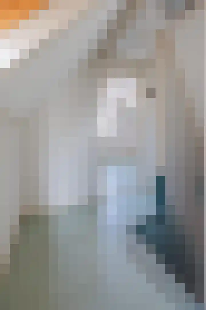 Julianalaan 62 Raamsdonksveer thumbnail 23