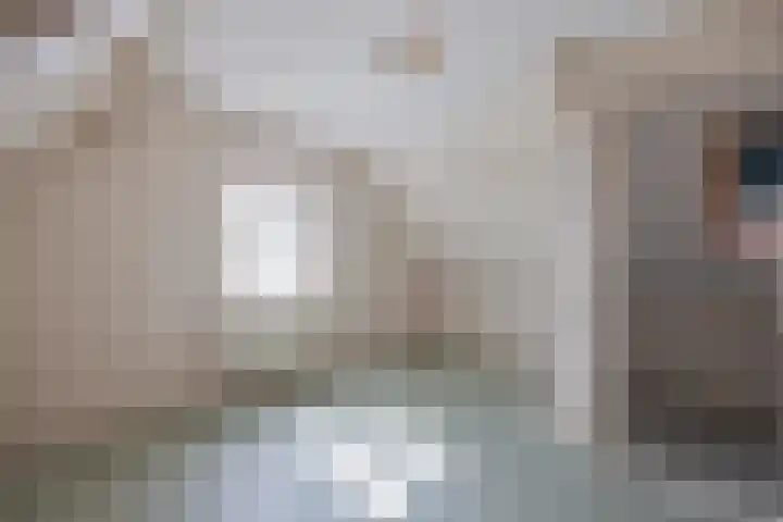 Julianalaan 62 Raamsdonksveer thumbnail 25