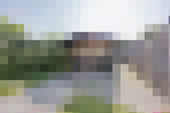 Julianalaan 62 Raamsdonksveer thumbnail 32