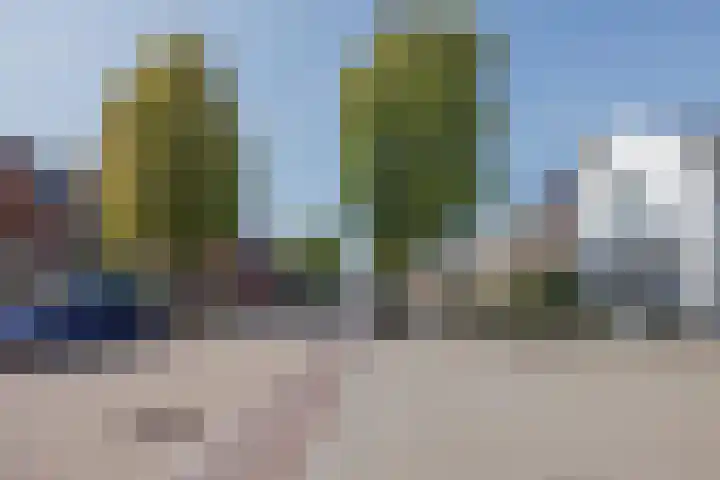 Julianalaan 62 Raamsdonksveer thumbnail 37