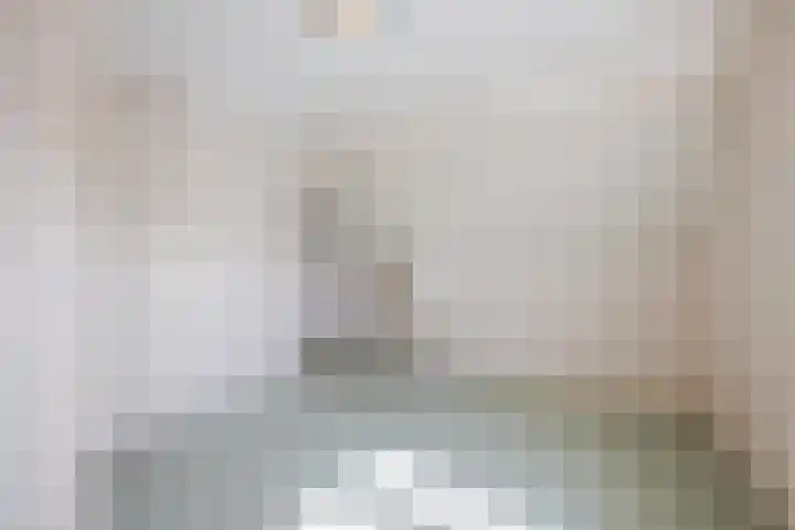Julianalaan 62 Raamsdonksveer thumbnail 5