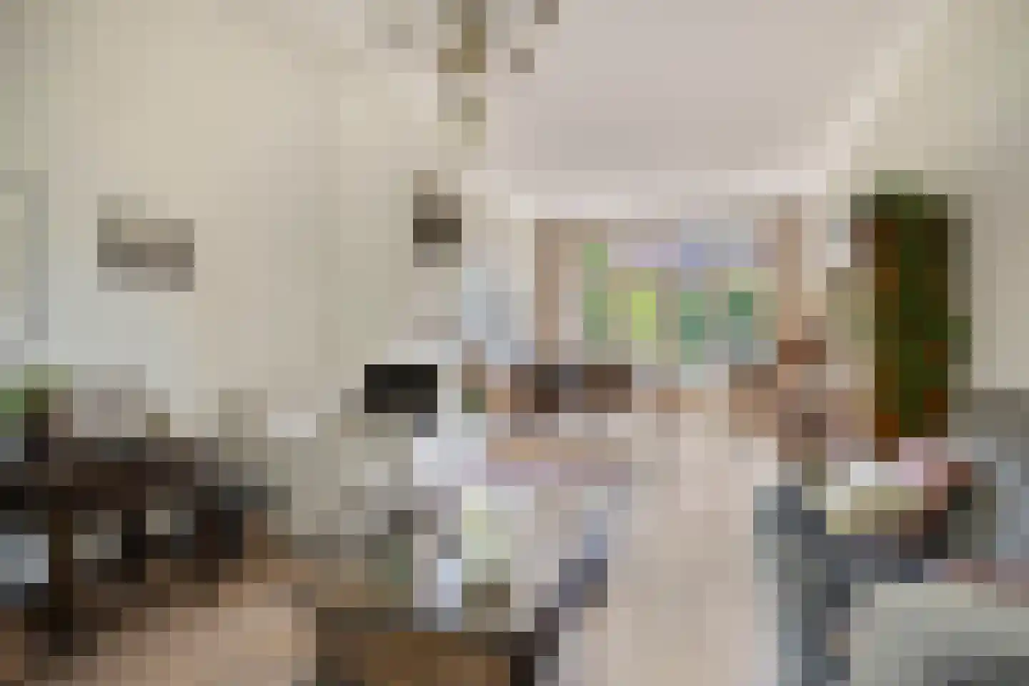 Julianalaan 63 Breda thumbnail 12