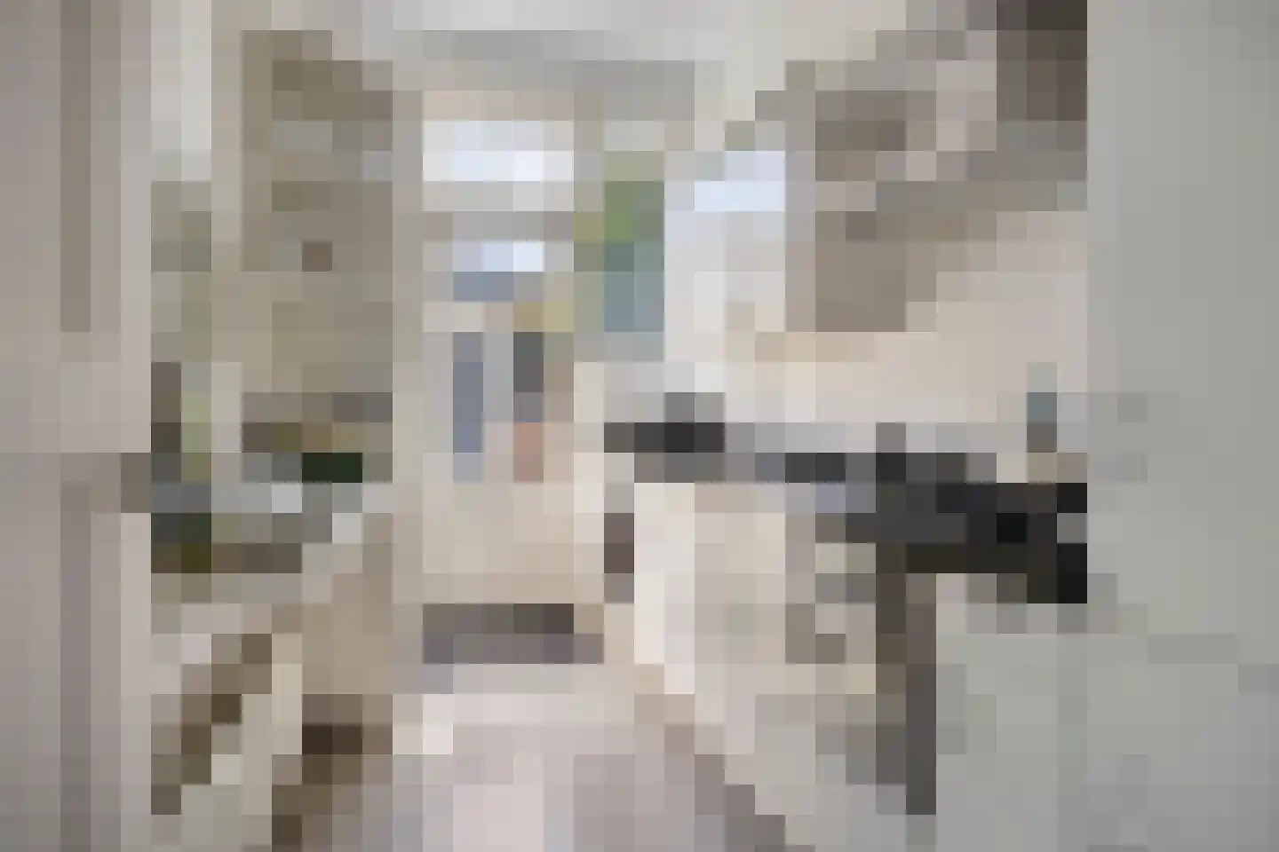 Julianalaan 63 Breda thumbnail 14