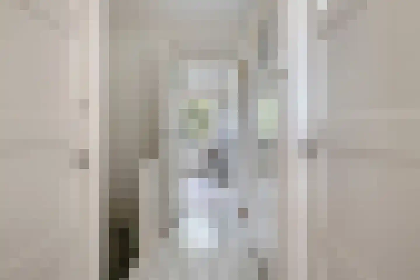 Julianalaan 63 Breda thumbnail 17