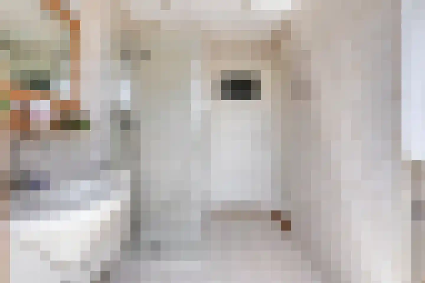 Julianalaan 63 Breda thumbnail 22