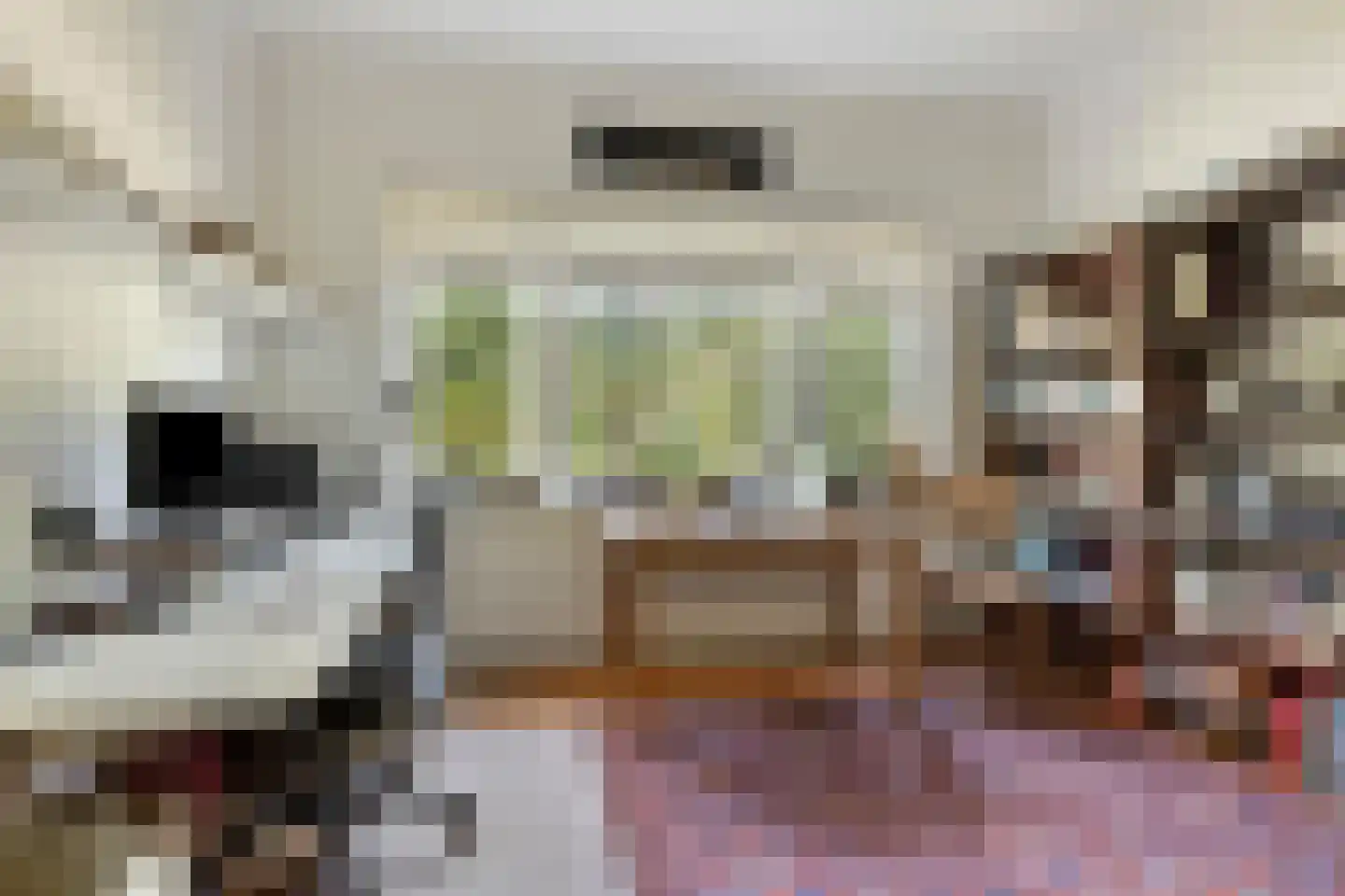 Julianalaan 63 Breda thumbnail 24