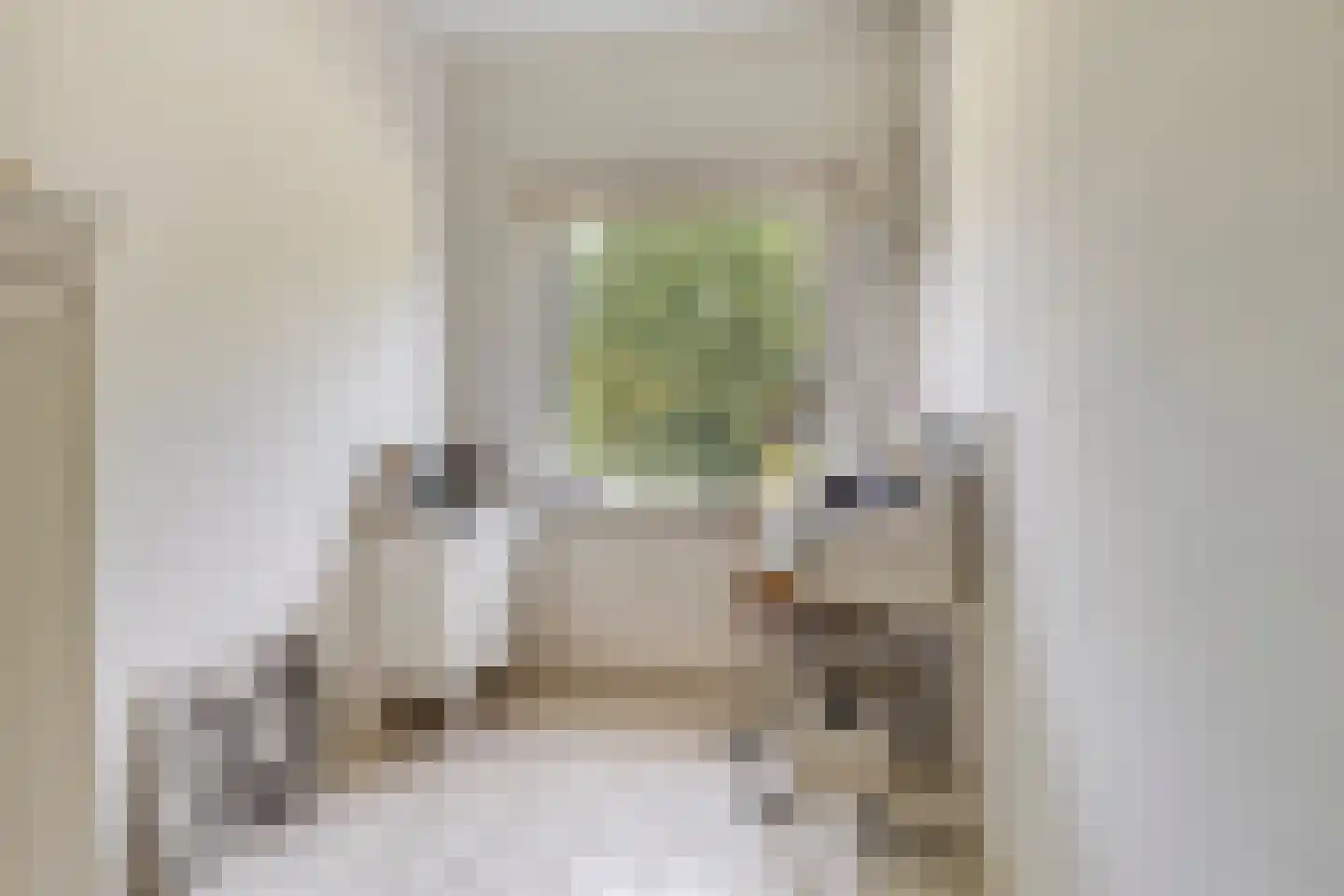 Julianalaan 63 Breda thumbnail 26