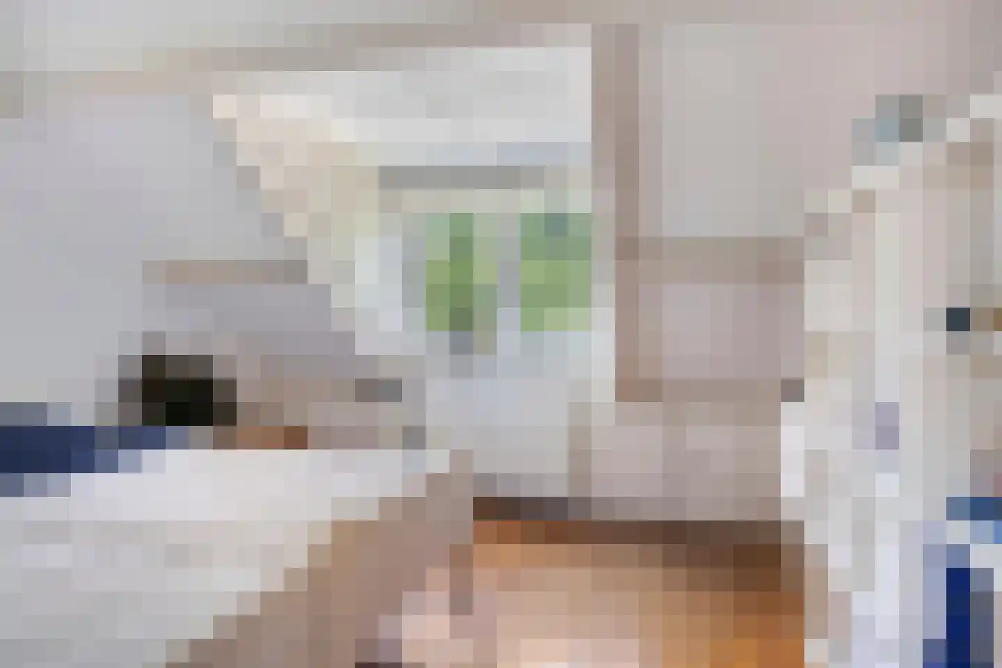 Julianalaan 63 Breda thumbnail 31