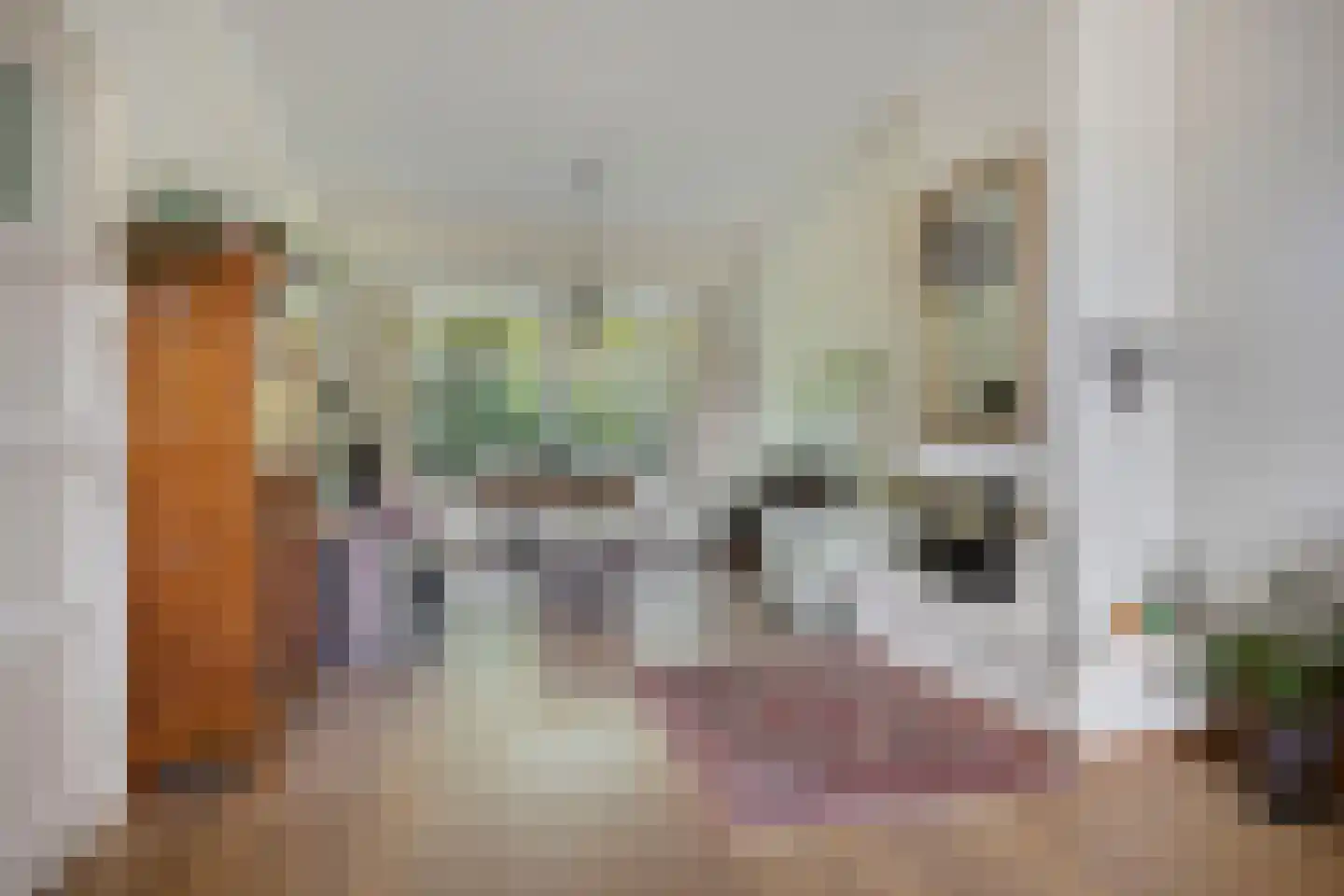 Julianalaan 63 Breda thumbnail 8