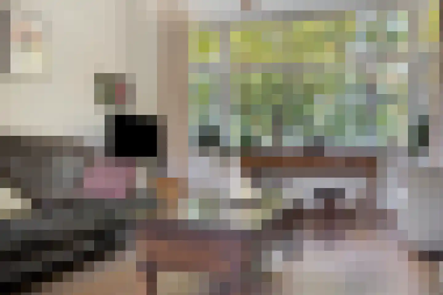 Julianalaan 63 Breda thumbnail 9