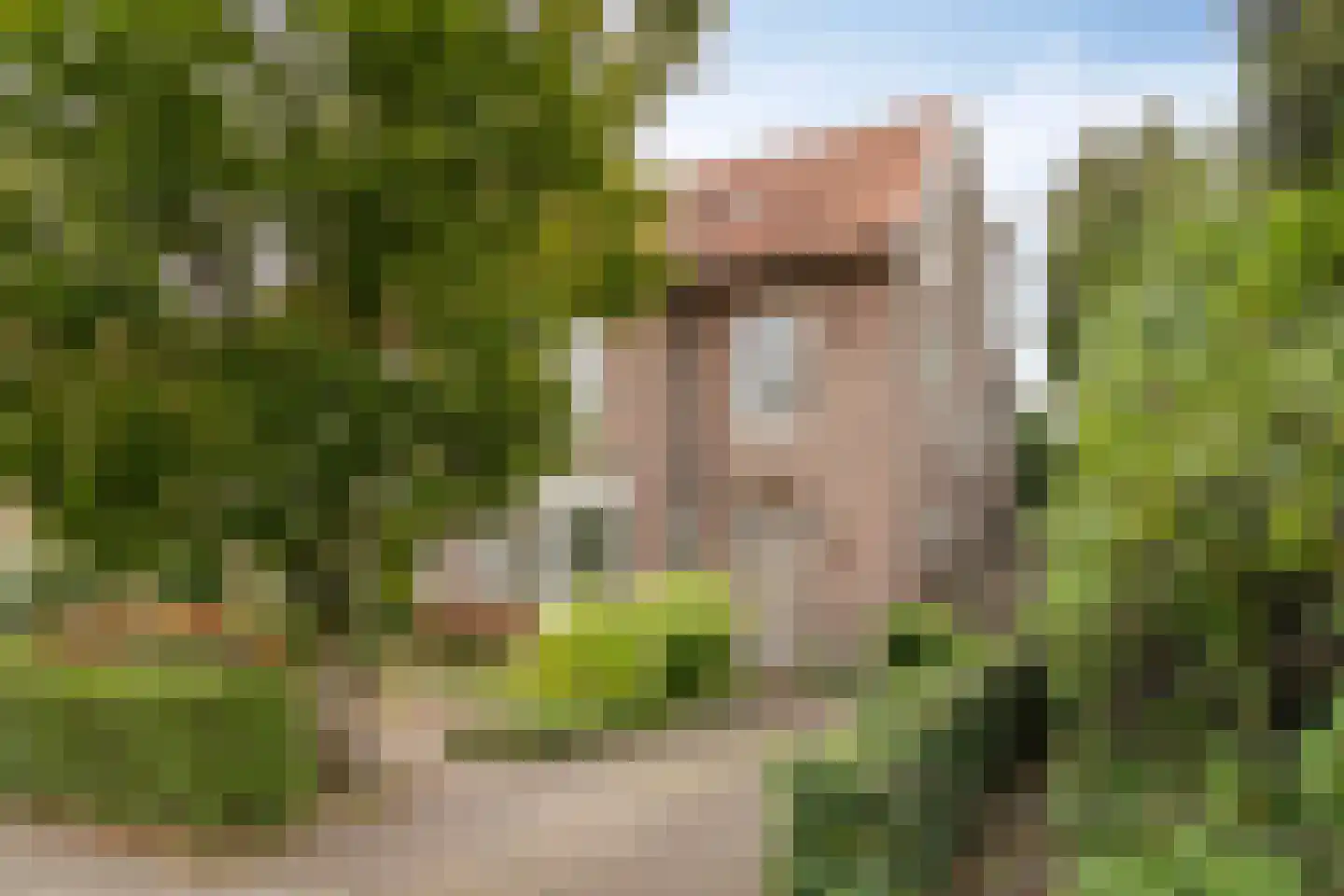Julianalaan 63 Helmond
