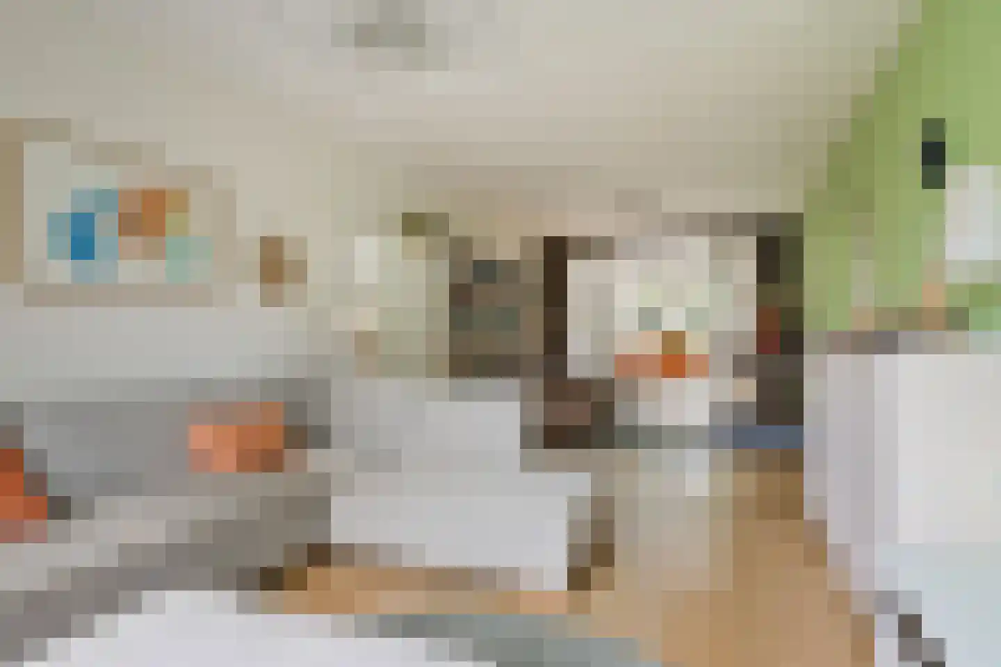 Julianalaan 63 Helmond thumbnail 14