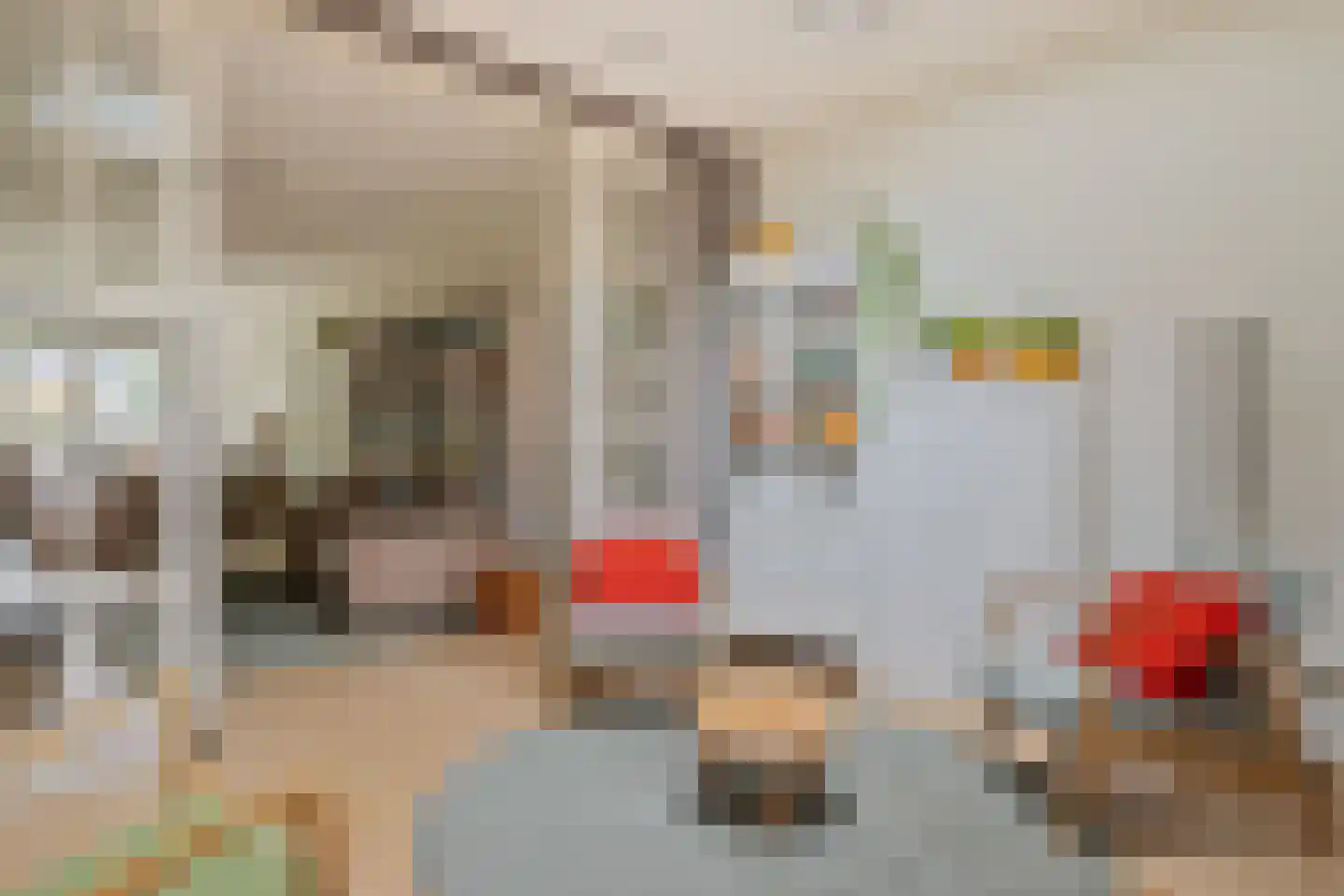 Julianalaan 63 Helmond thumbnail 18