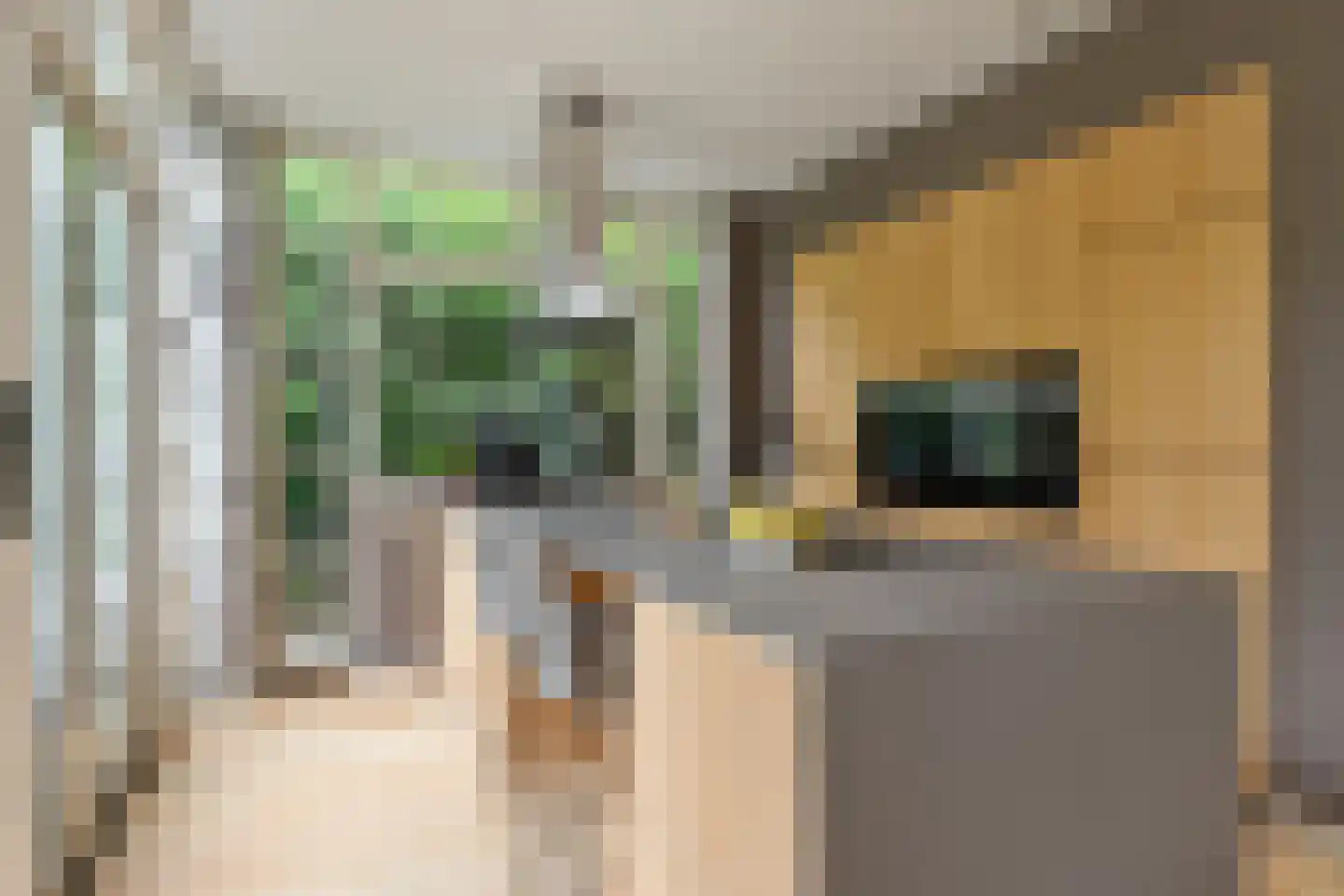 Julianalaan 63 Helmond thumbnail 22