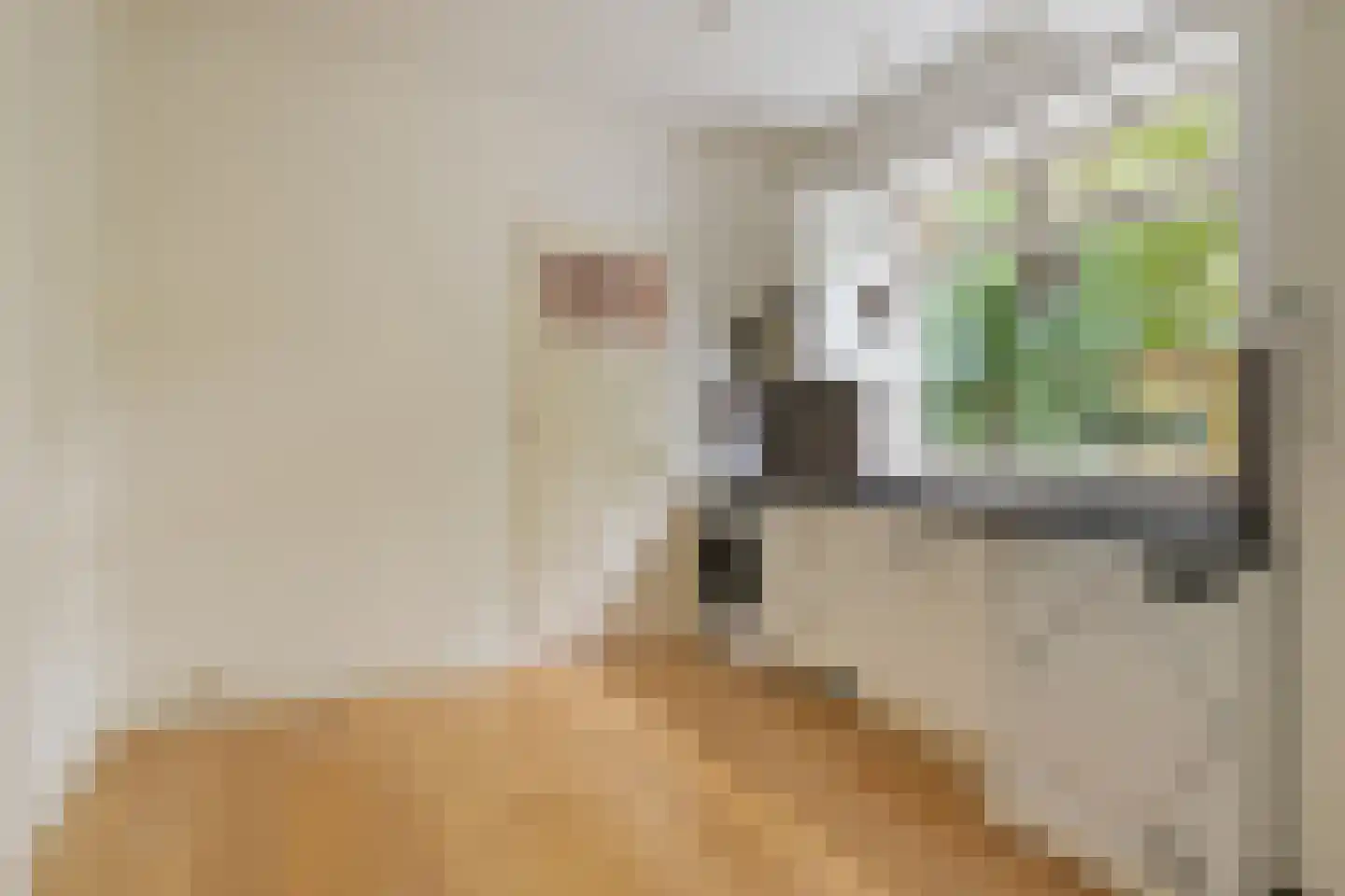Julianalaan 63 Helmond thumbnail 25
