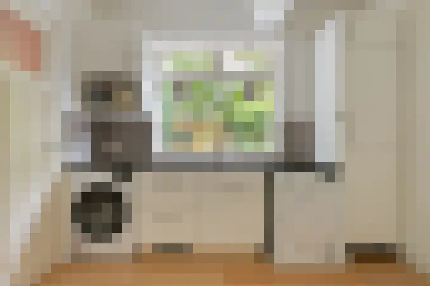 Julianalaan 63 Helmond thumbnail 26