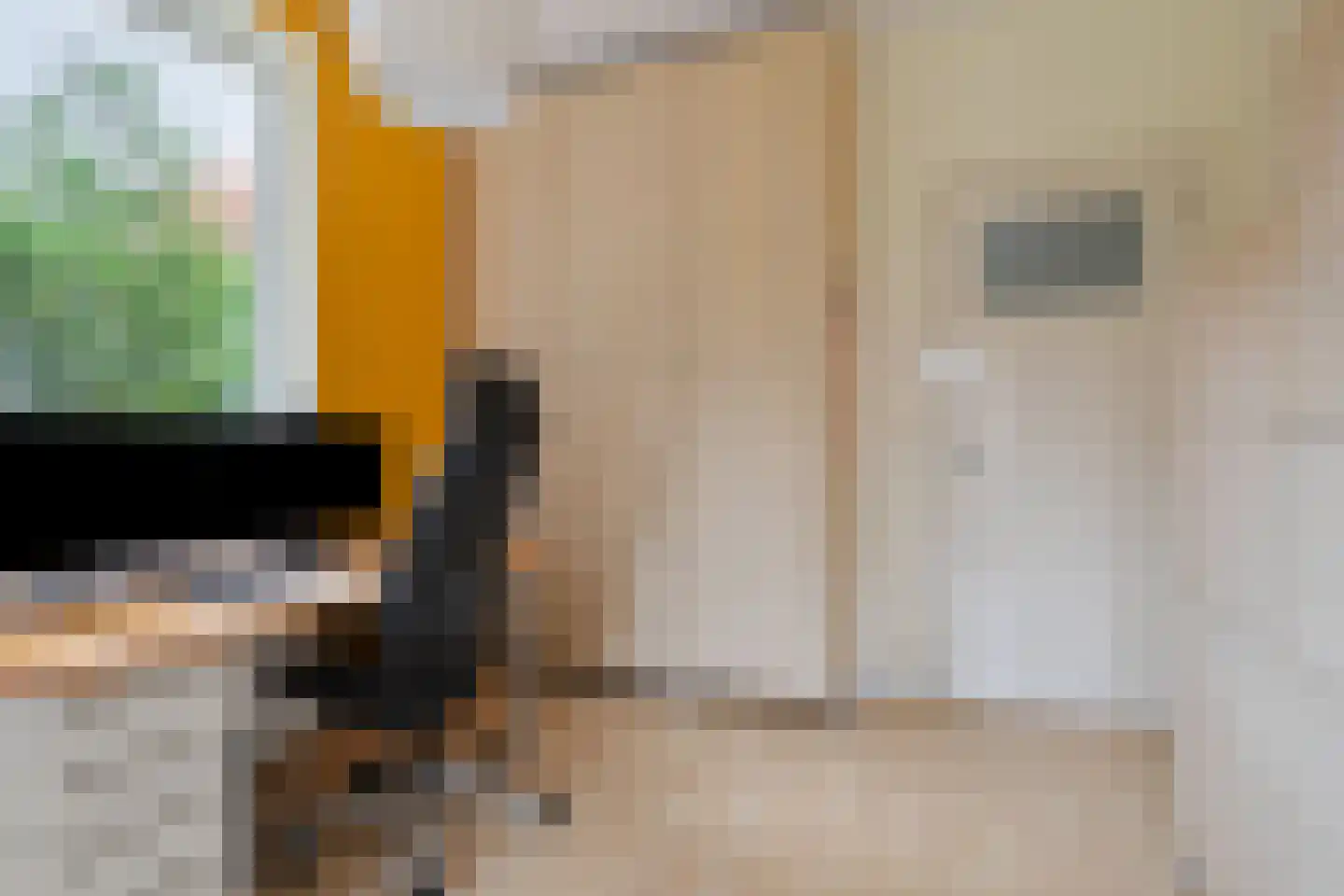 Julianalaan 63 Helmond thumbnail 41