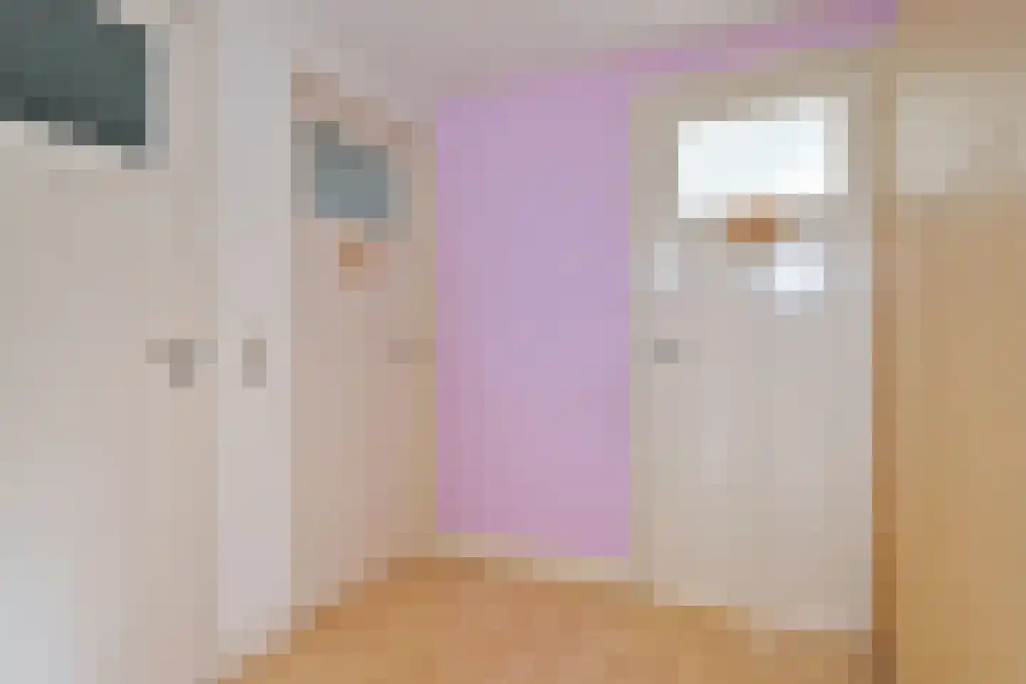 Julianalaan 63 Helmond thumbnail 45