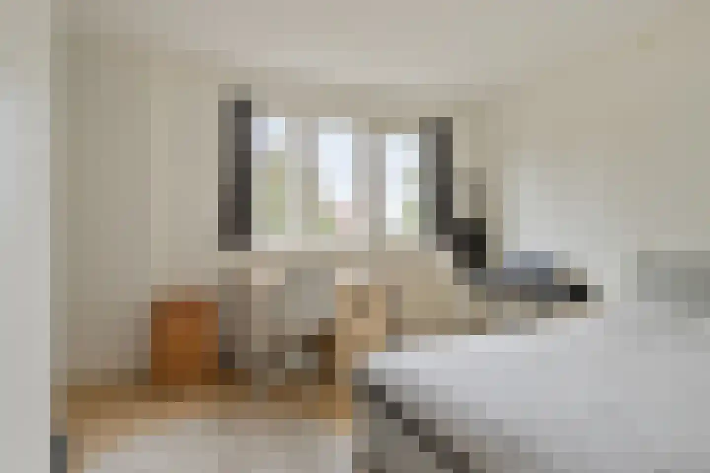 Julianalaan 63 Helmond thumbnail 50