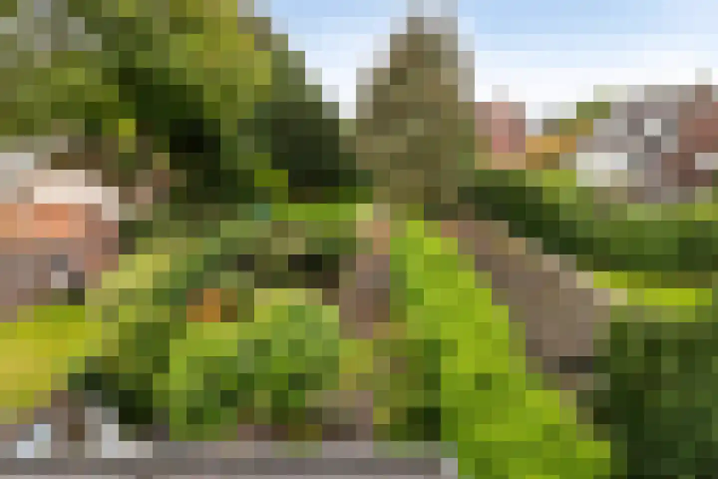 Julianalaan 63 Helmond thumbnail 53