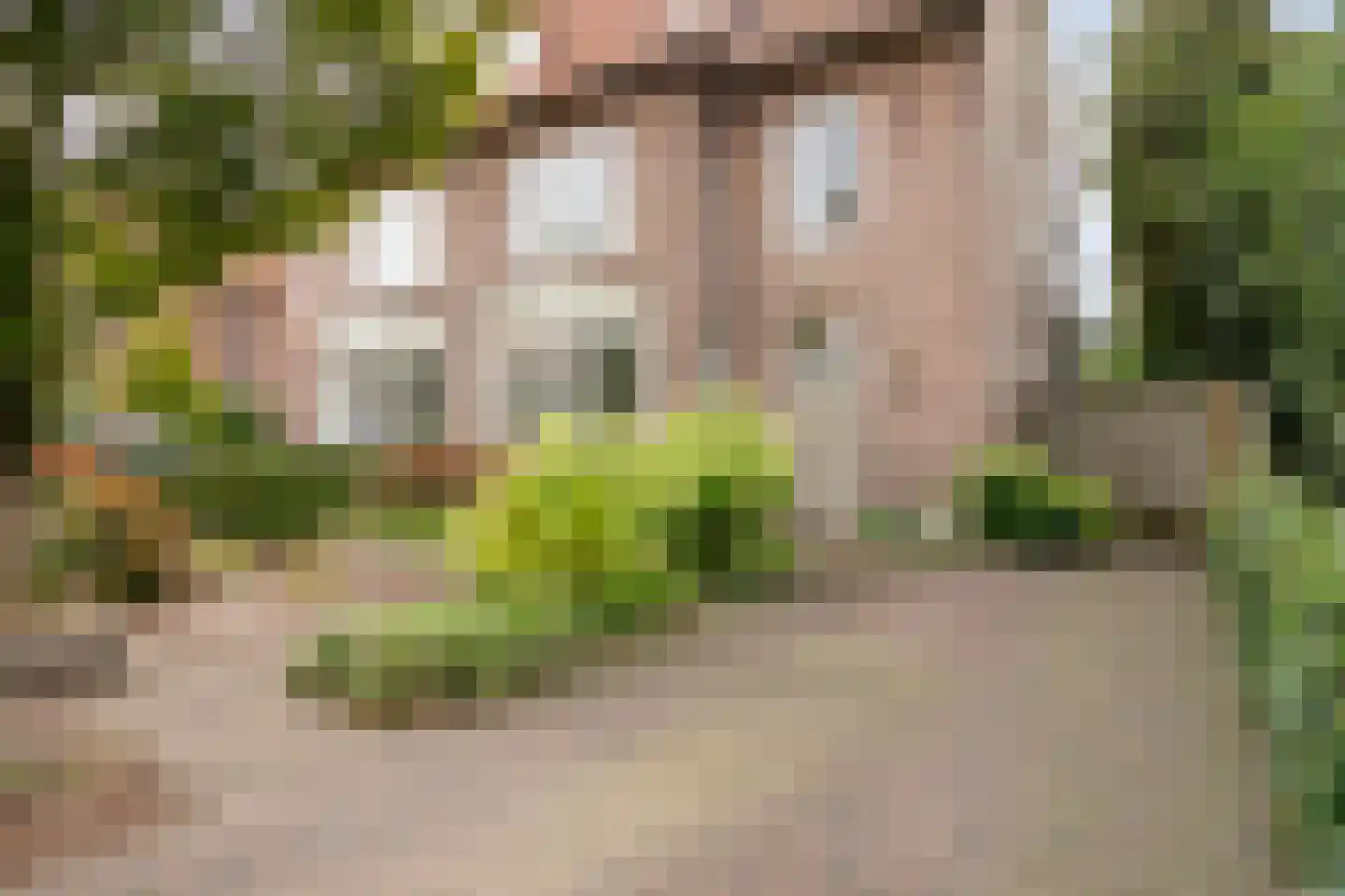 Julianalaan 63 Helmond thumbnail 57