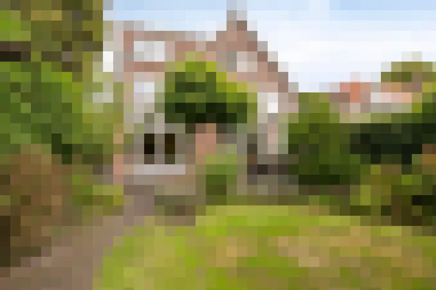 Julianalaan 63 Helmond thumbnail 58