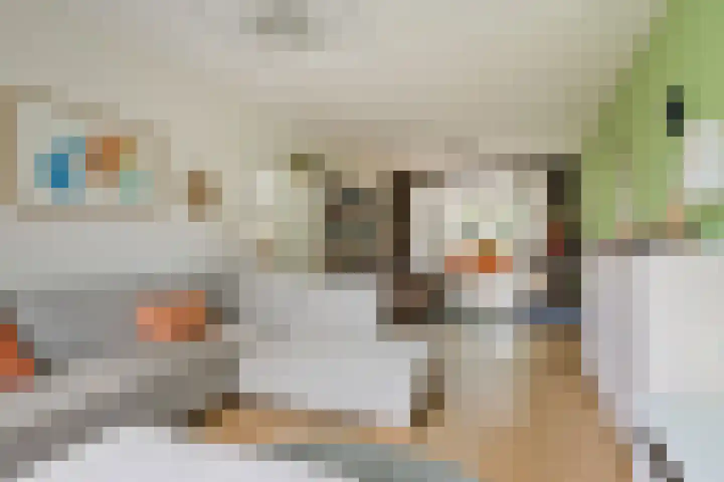Julianalaan 63 Helmond thumbnail 6