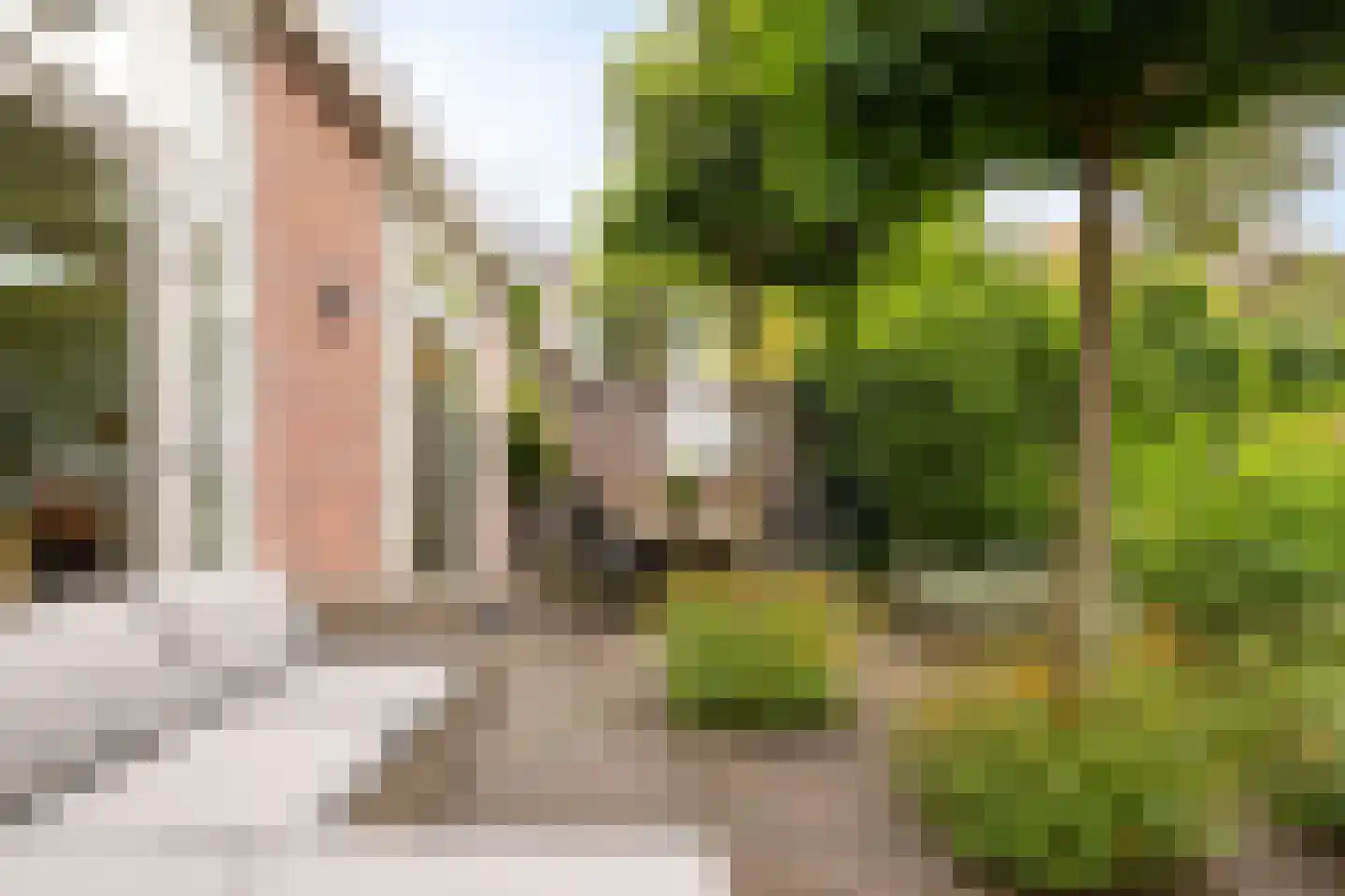 Julianalaan 63 Helmond thumbnail 60