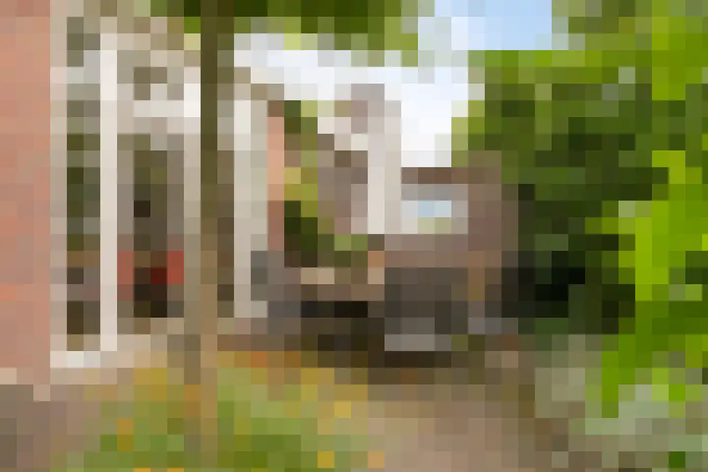Julianalaan 63 Helmond thumbnail 61