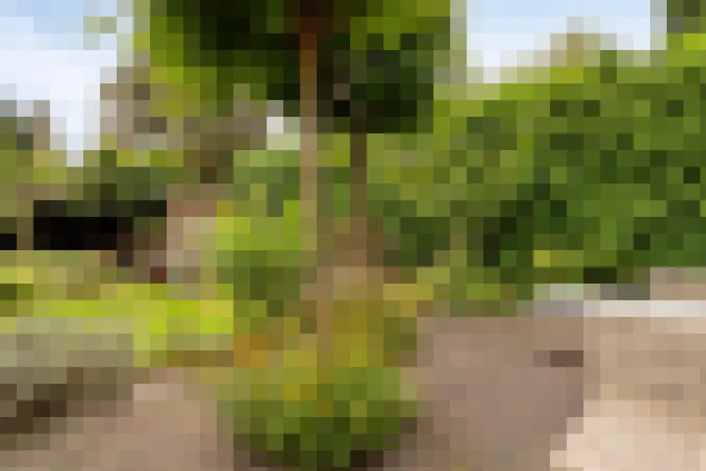 Julianalaan 63 Helmond thumbnail 64