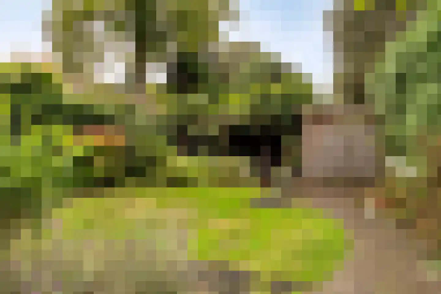 Julianalaan 63 Helmond thumbnail 67