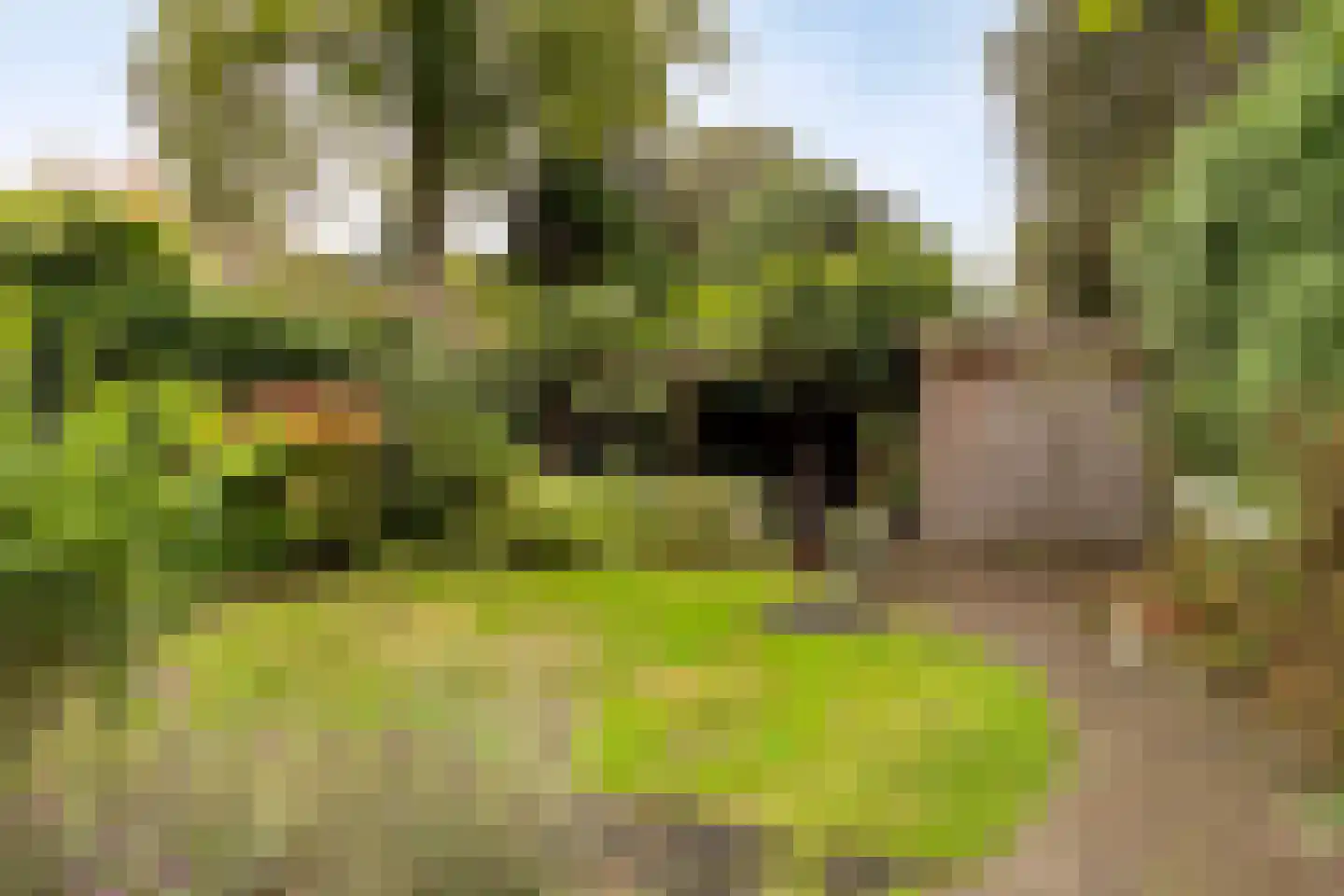 Julianalaan 63 Helmond thumbnail 68