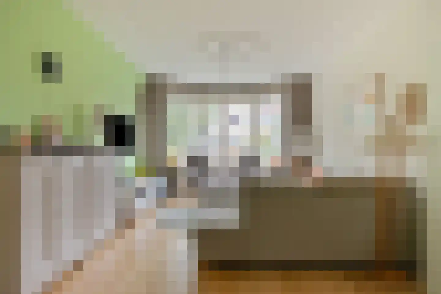 Julianalaan 63 Helmond thumbnail 7