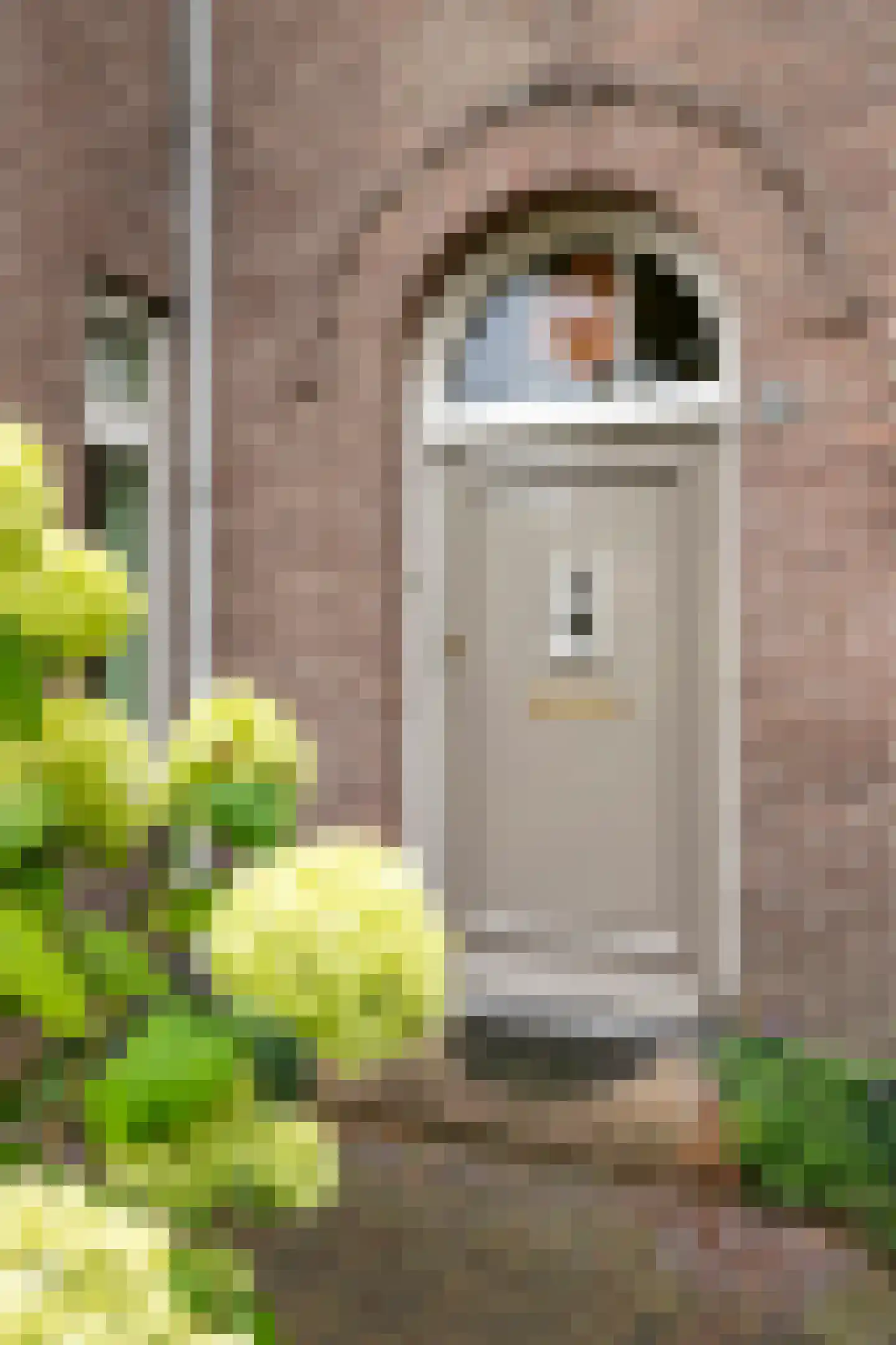 Julianalaan 63 Helmond thumbnail 8