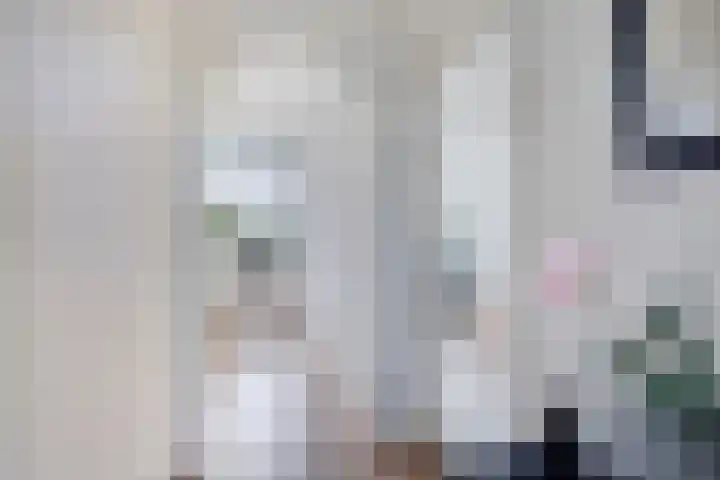 Julianalaan 64 Oss thumbnail 10