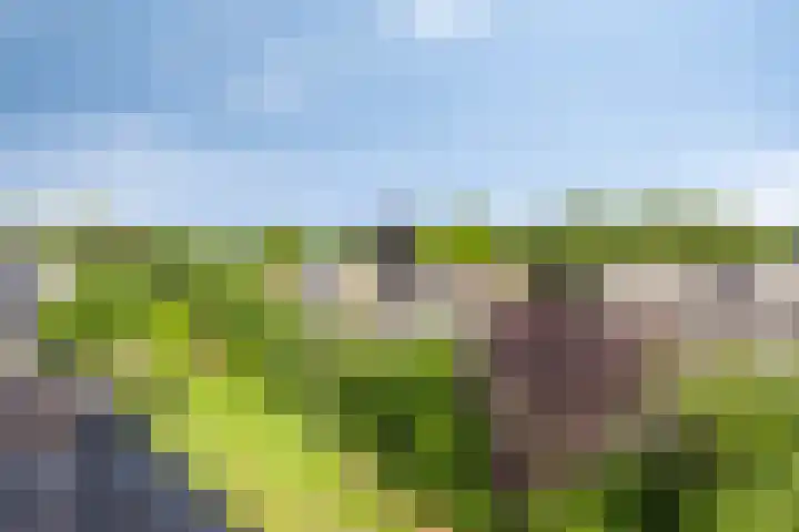 Julianalaan 64 Oss thumbnail 18