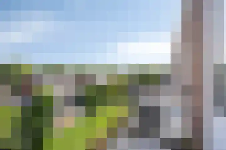Julianalaan 64 Oss thumbnail 19