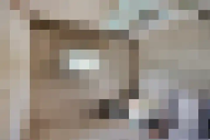 Julianalaan 64 Oss thumbnail 24